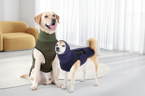 The Steady Wrap — Calming Anxiety Vest for Dogs