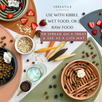 The Still Bowl — Calming Slow Feeder for Dogs