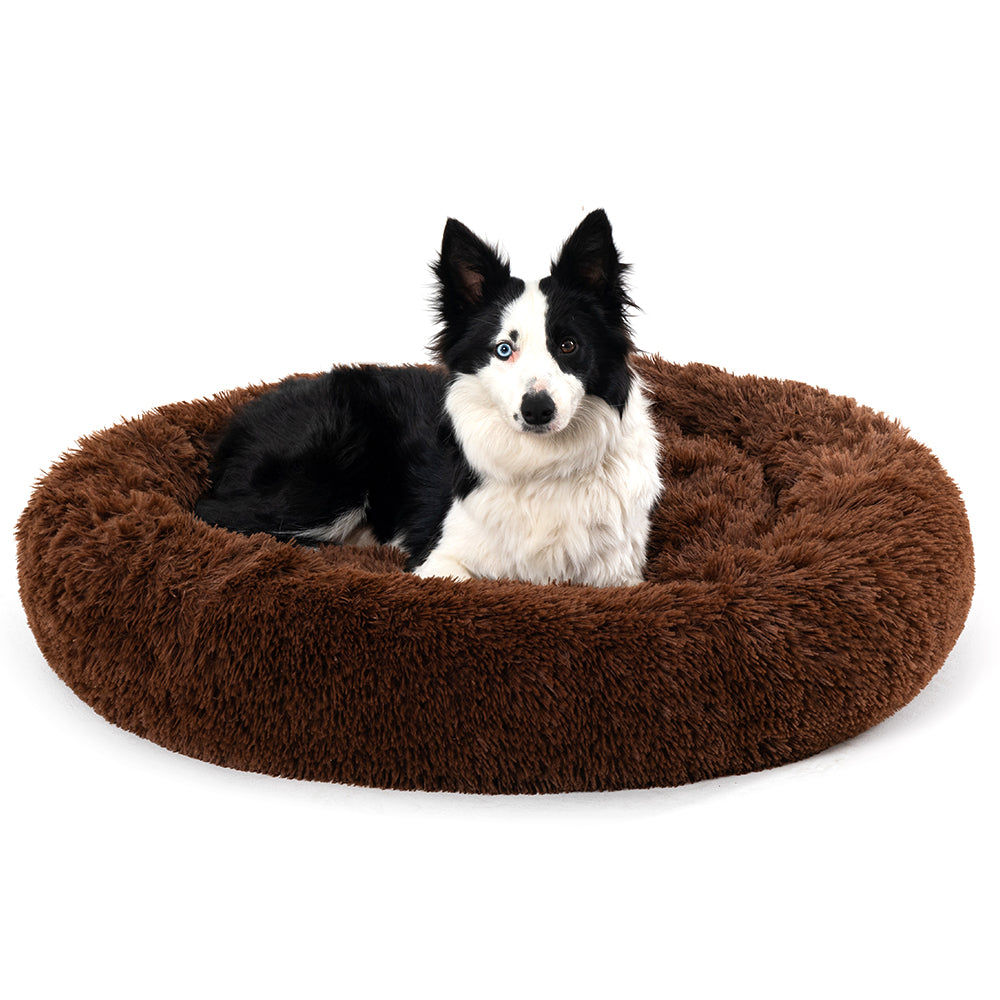 A calm dog resting on a Pexhale bed