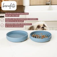 The Still Bowl — Calming Slow Feeder for Dogs