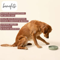 The Still Bowl — Calming Slow Feeder for Dogs