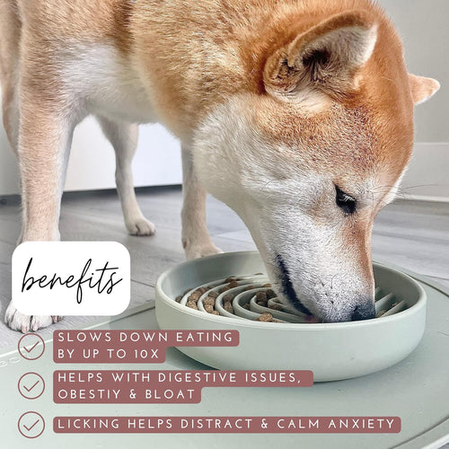 The Still Bowl — Calming Slow Feeder for Dogs